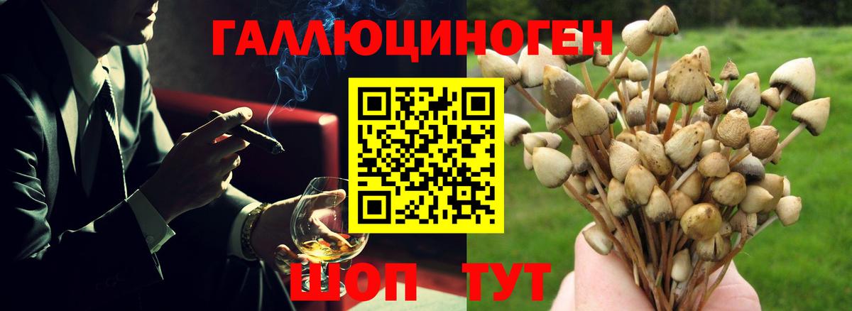 Псилоцибиновые грибы Cubensis  Вход с VPN  цена наркотик  Нововоронеж 